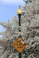 Image showing Traffic sign