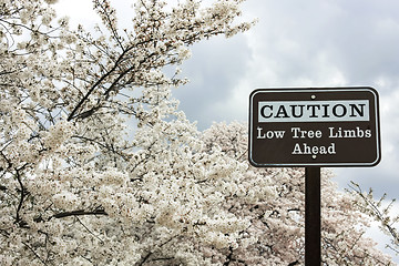 Image showing Traffic sign