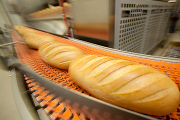 Image showing Baked Breads on the production 