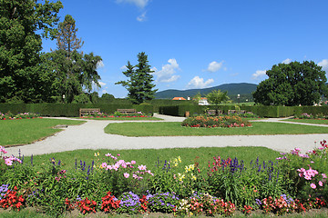 Image showing Summer garden