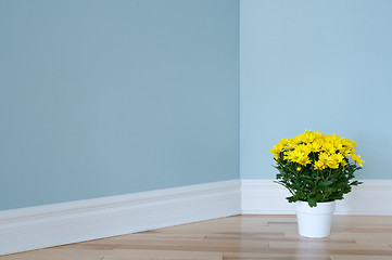 Image showing Yellow daisies in white pot decorating a room
