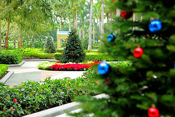 Image showing Christmas tree in garden