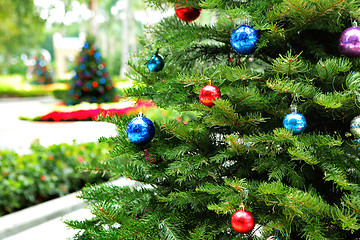 Image showing Christmas tree in garden