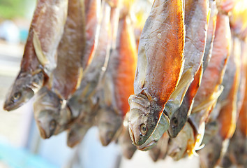 Image showing Dried Fish