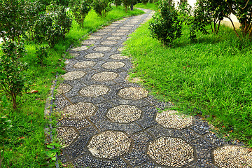 Image showing path in park