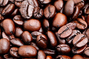 Image showing coffee beans