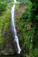 Image showing forest Waterfall