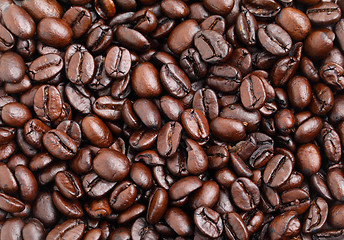 Image showing coffee beans