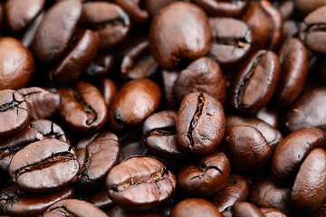 Image showing coffee bean