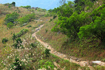 Image showing mountain path for hiking