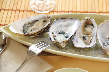 Image showing Oysters Natural