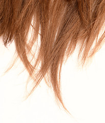 Image showing woman hair