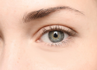 Image showing beautiful eye