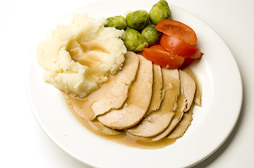 Image showing turkey dinner