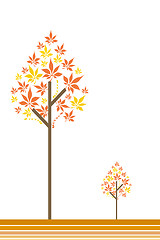 Image showing Autum tree