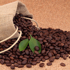 Image showing Coffee Beans