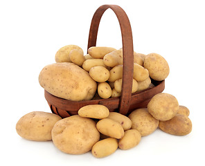 Image showing Potato Types