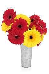 Image showing Gerbera Flowers