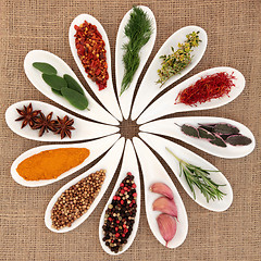 Image showing Spice and Herb Selection