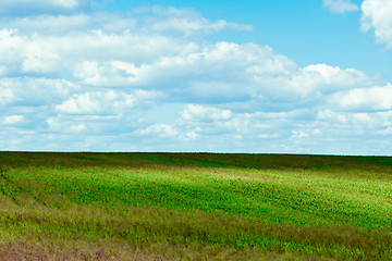 Image showing field and blue sky 