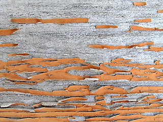 Image showing Wooden texture with cracked and peeling paint