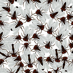 Image showing House fly pattern