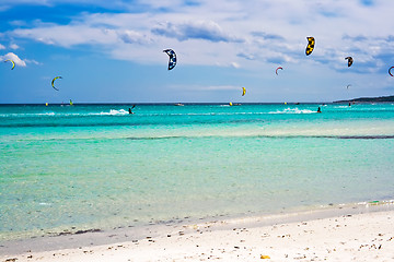 Image showing Kite surfers