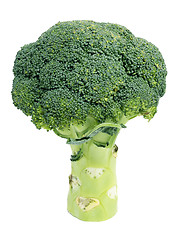 Image showing Broccoli