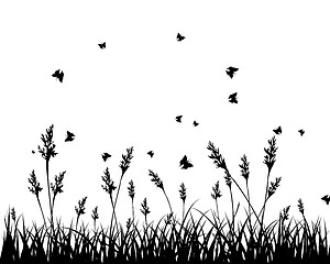 Image showing meadow silhouettes