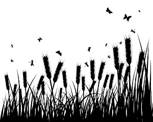 Image showing meadow silhouettes