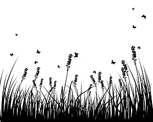 Image showing meadow silhouettes