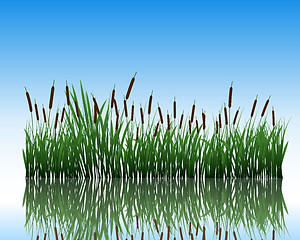 Image showing meadow with reflection