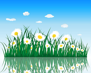 Image showing meadow with reflection