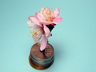 Image showing Blossoming money