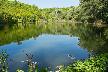 Image showing Small forest lake in summertime