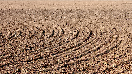 Image showing Furrows on field