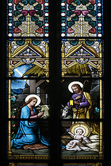 Image showing Nativity scene, stained glass
