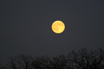 Image showing Yellow Moon