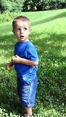 Image showing Cute little boy in blue hunting Easter eggs