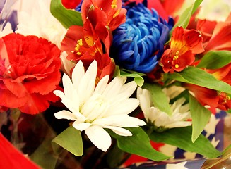 Image showing Assortment of red, white and blue flowers