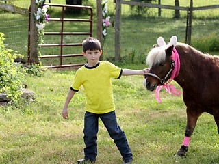 Image showing Little boy with pony decorated for Easter