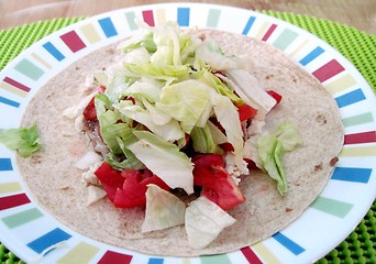 Image showing Beef Burrito with lettuce