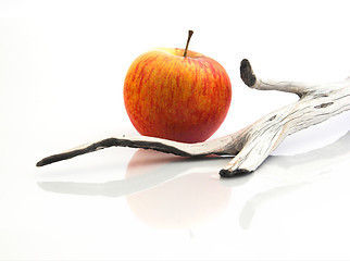 Image showing Red apple with a  wooden piece