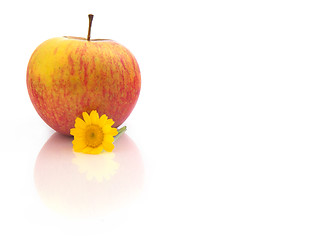 Image showing Red Apple with flowers and reflection