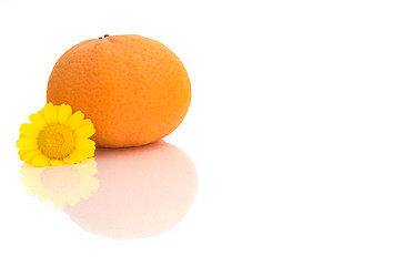 Image showing Orange with a flower and reflections