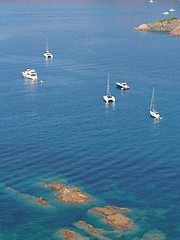 Image showing Corsica in summer, coast south of Girolata.