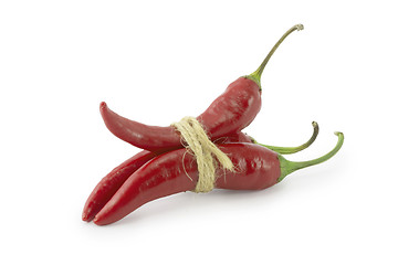 Image showing chili pepper