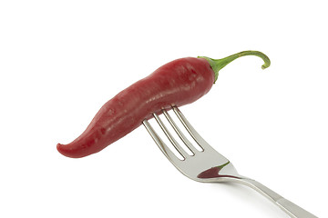 Image showing chili pepper