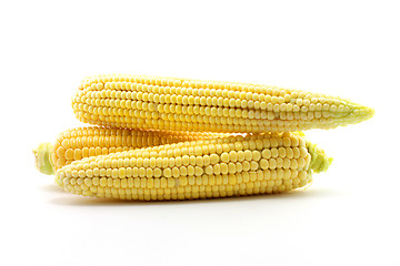 Image showing ear of corn