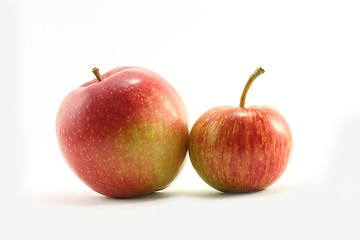 Image showing Two apples